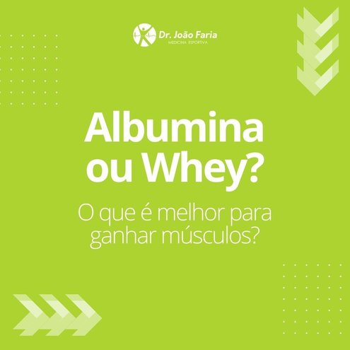 Albumina ou Whey? O que é melhor para ganhar músculos?