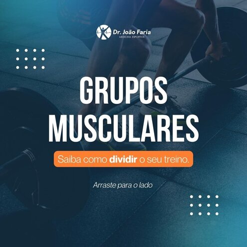 Grupos Musculares - Saiba como dividir o seu treino