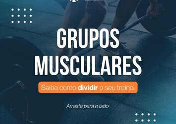 Grupos Musculares - Saiba como dividir o seu treino