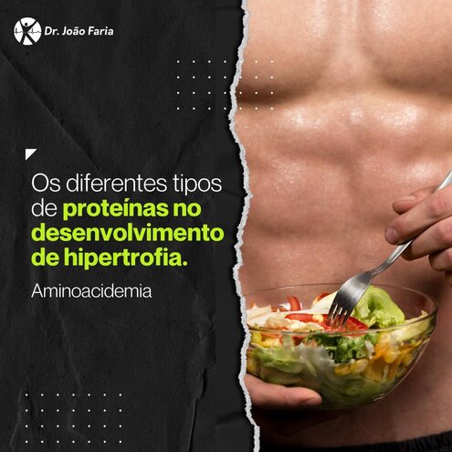 Os diferentes tipos de proteínas no desenvolvimento de hipertrofia