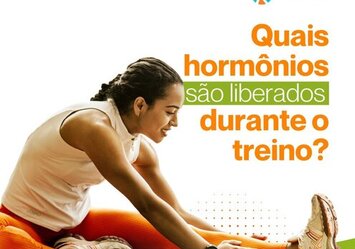 Quais hormônios são liberados durante o treino?