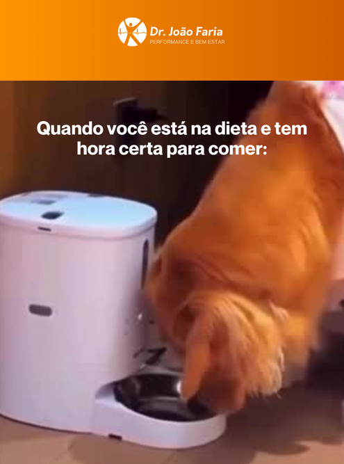 Quando você está na dieta e tem hora certa para comer