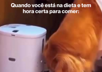 Quando você está na dieta e tem hora certa para comer